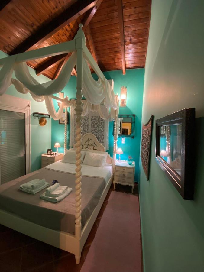 Saronic Seafront Villa Đảo Đảo Salamis Ngoại thất bức ảnh